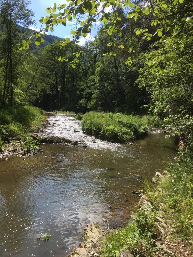 Ferienwohnung Raabklamm Arzberg Εξωτερικό φωτογραφία